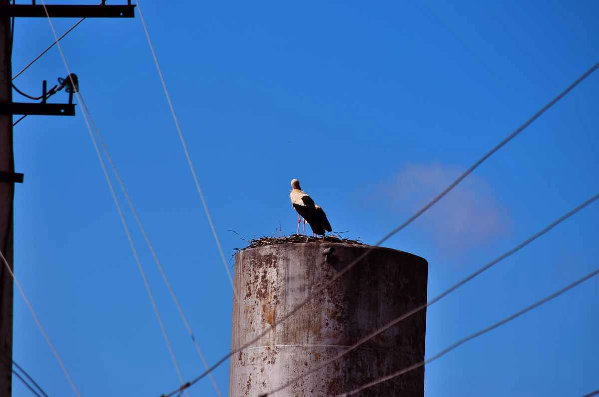 село - Деркачівка
