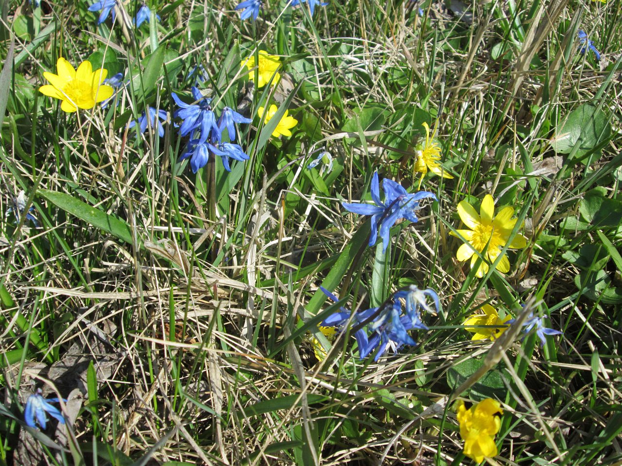 А у нас весна - Новоохтирка