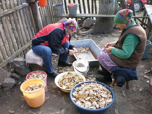 Колюхів та люди - Колюхов