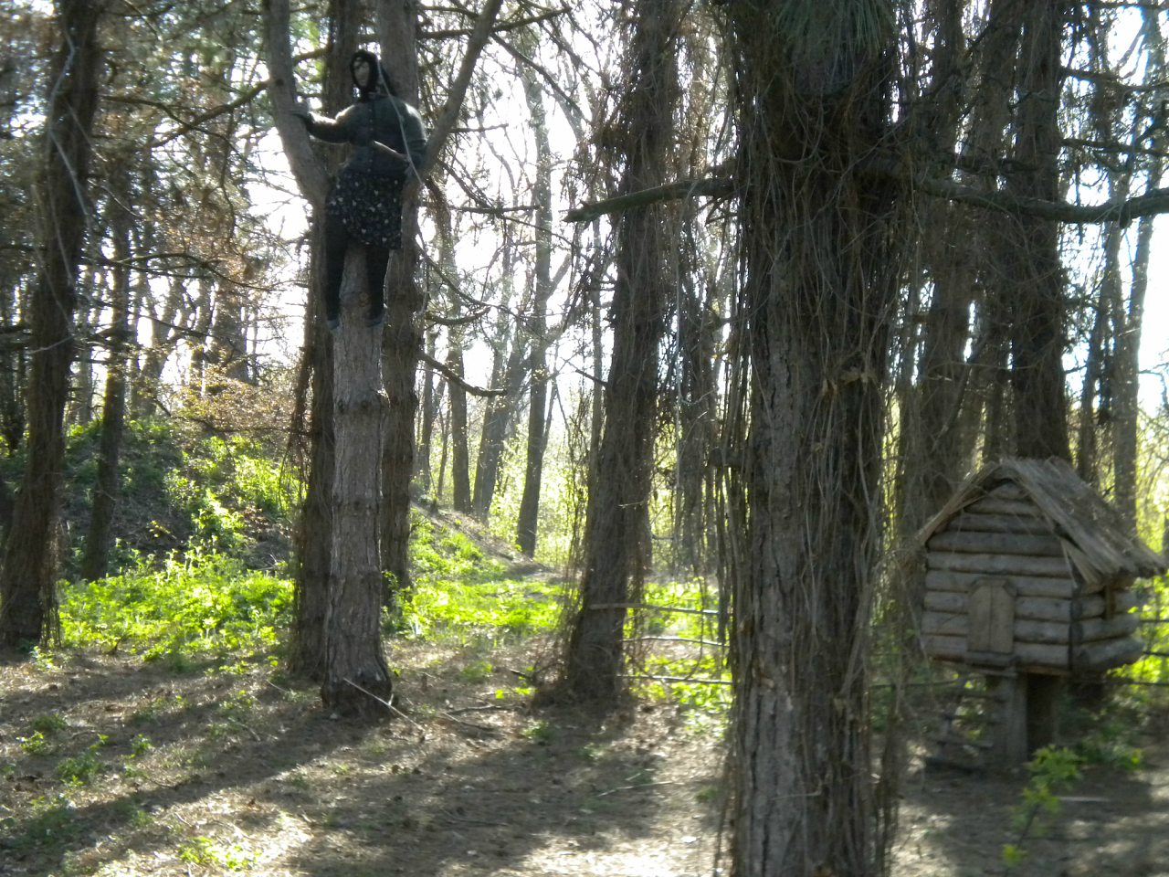 Лель 2015 -6 - Крива Руда