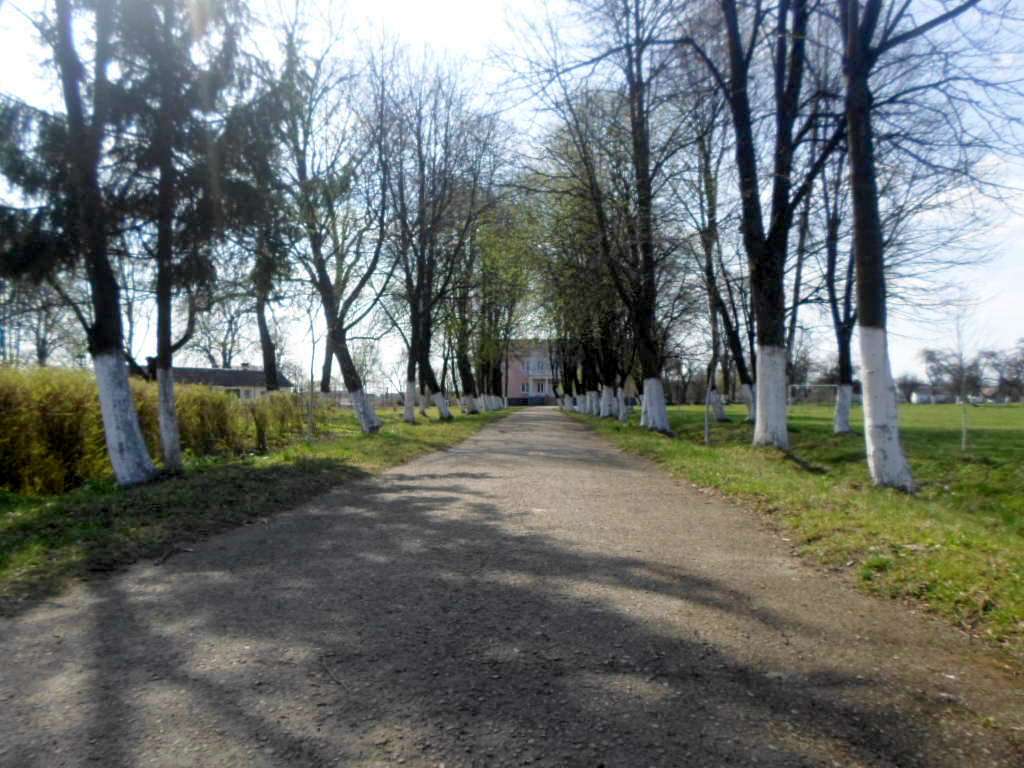 школа - Derzhiv