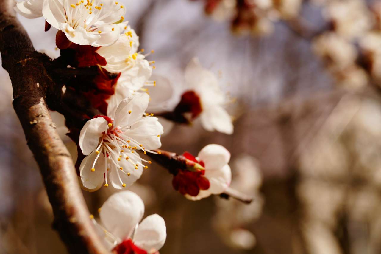 Природа - Вертокиївка