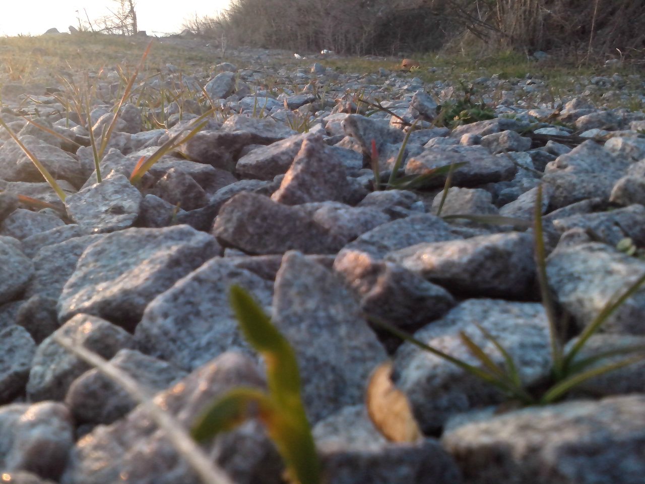 пронозівка - Пронозівка