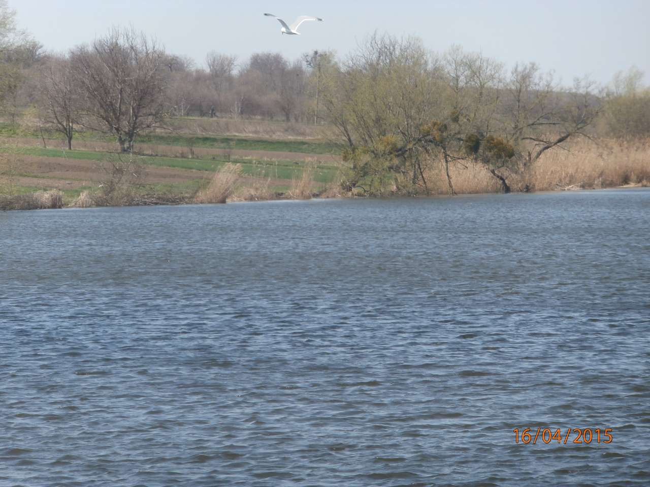 Молодецьке - 21 вік - Молодецьке