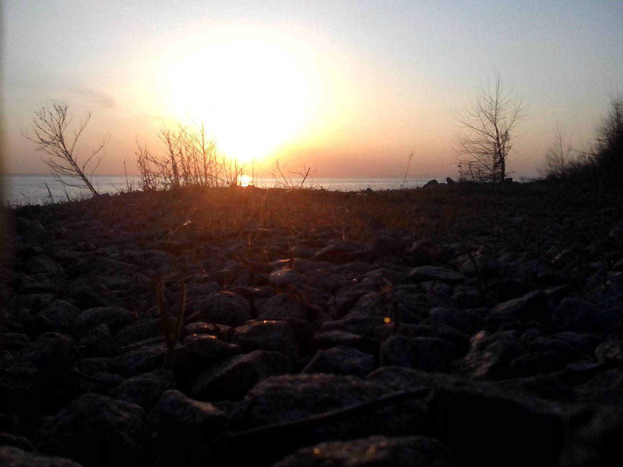 пронозівка - Пронозівка