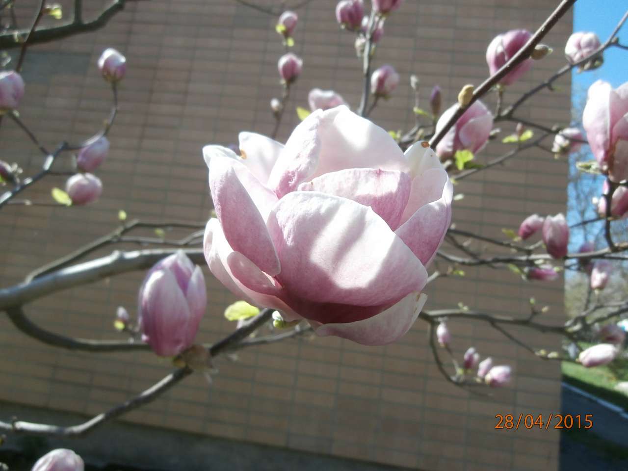 місто Звенигородка - Звенигородка