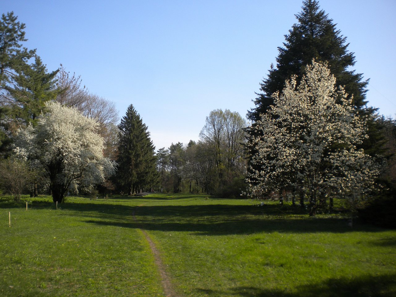 Лель 2015 -6 - Крива Руда