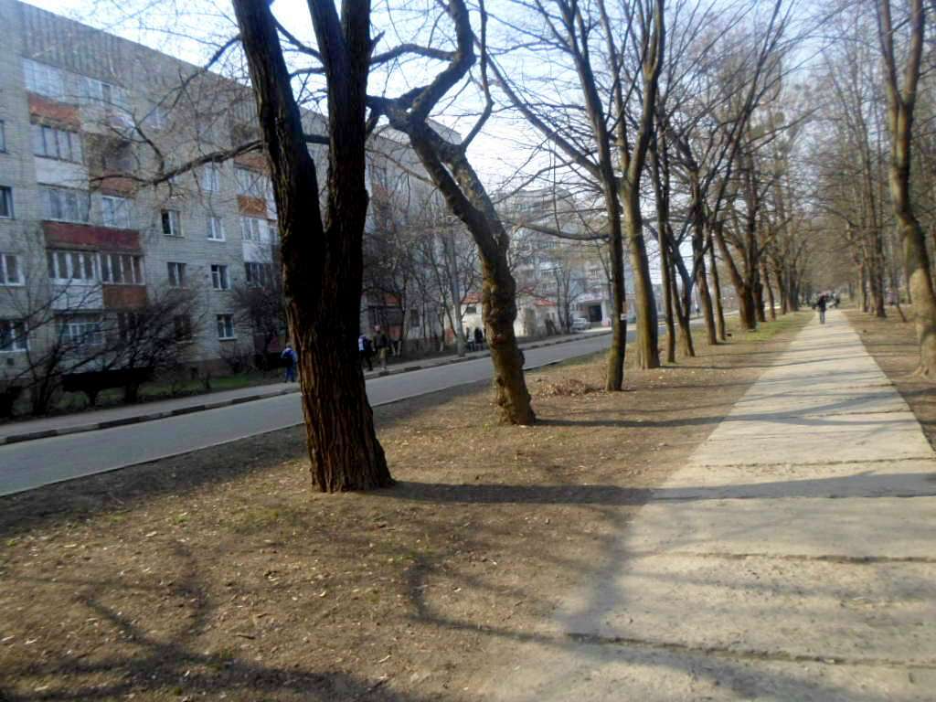 парки - Стрый