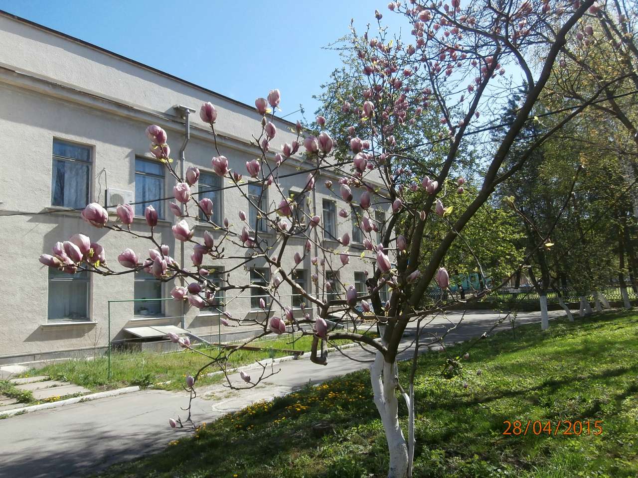 місто Звенигородка - Звенигородка