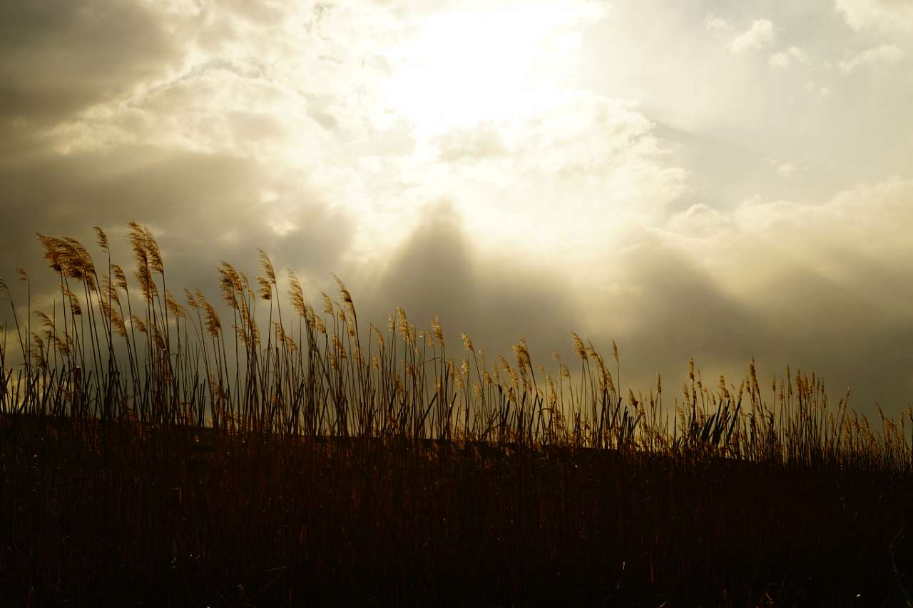 Природа - Вертокиївка