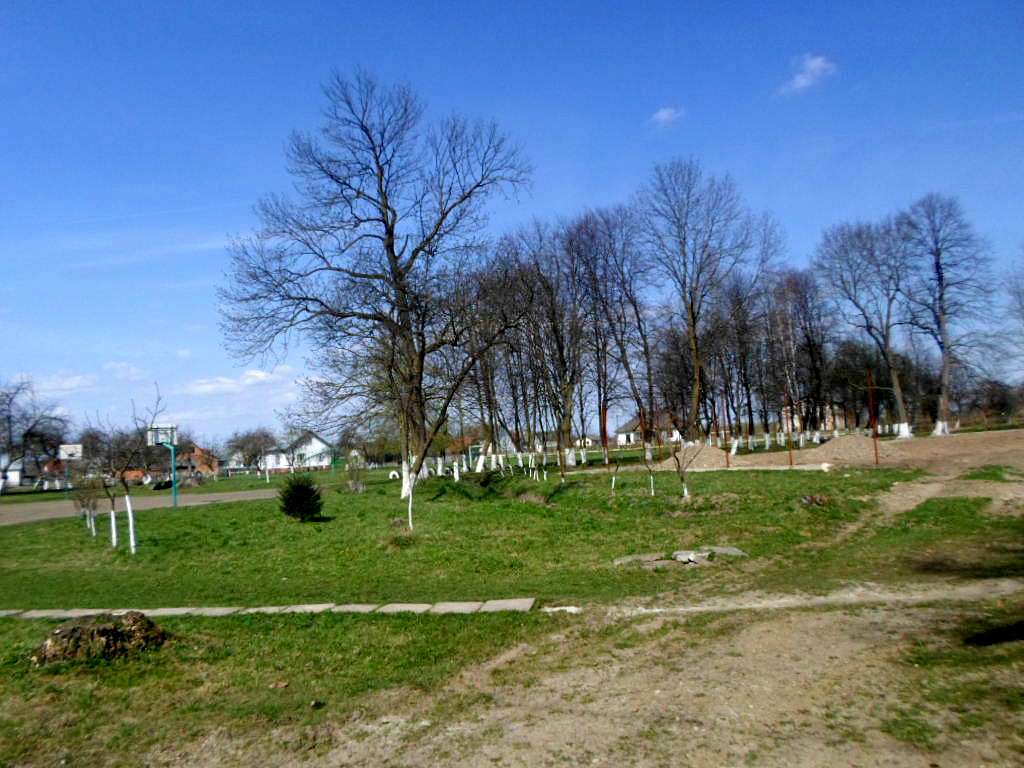 школа - Derzhiv