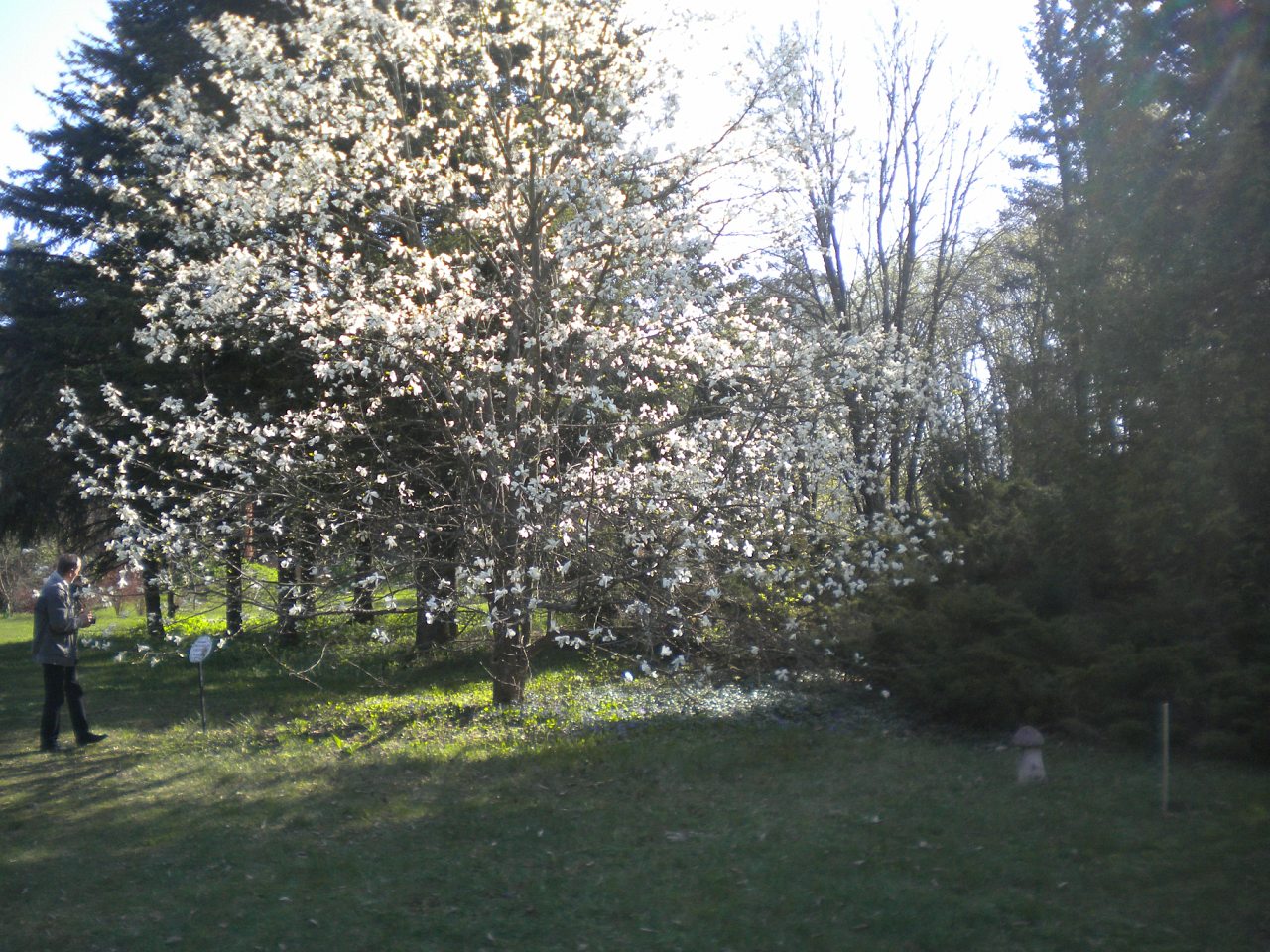 Лель 2015 -6 - Кривая Руда