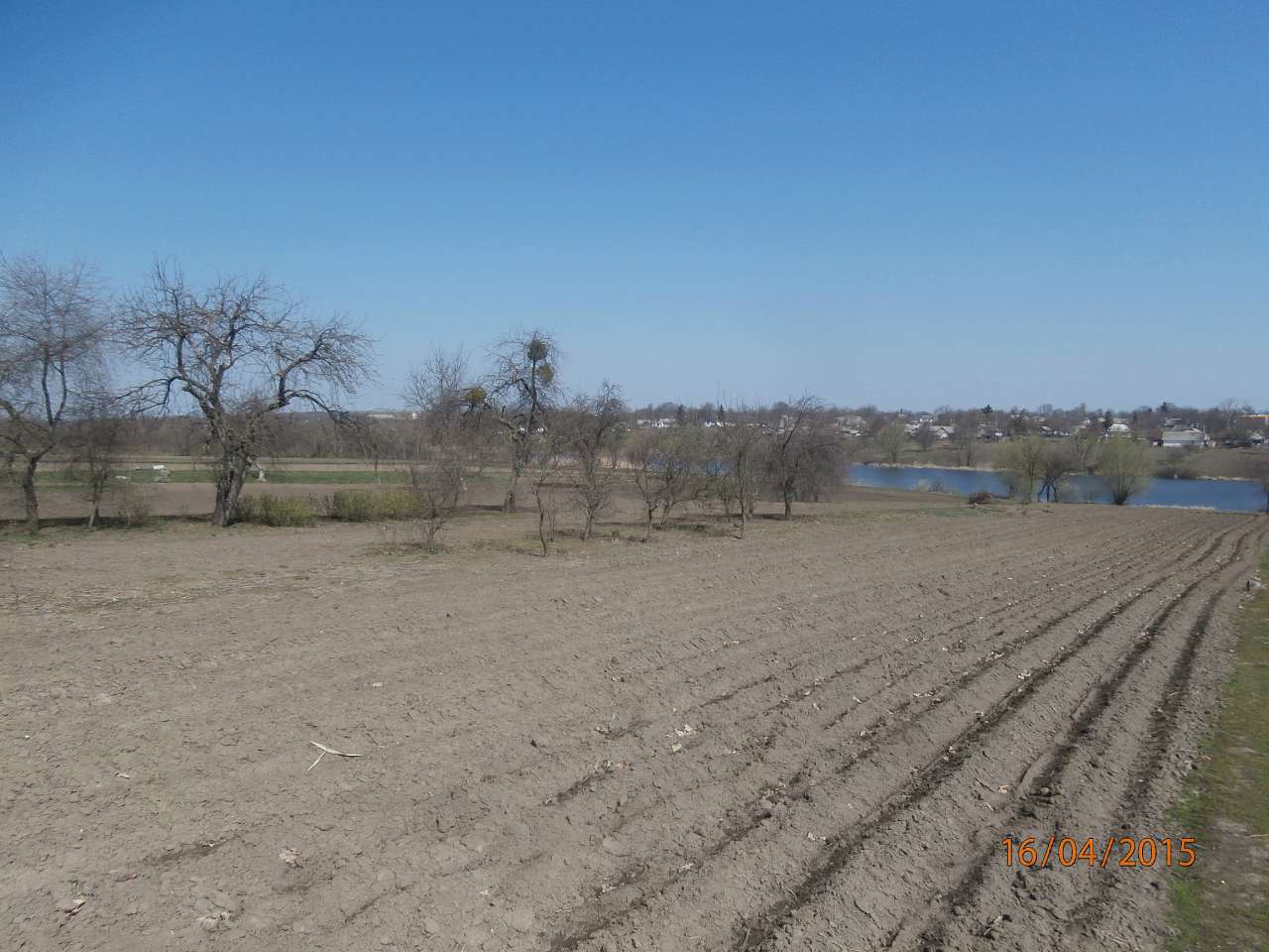Молодецьке - 21 вік - Молодецьке