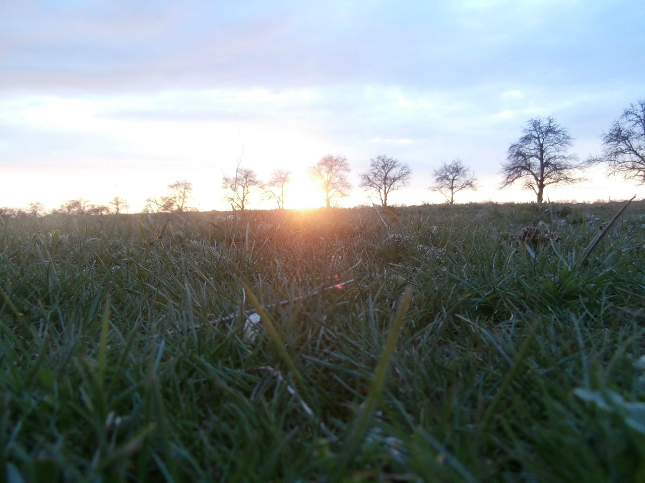 пронозівка - Пронозівка