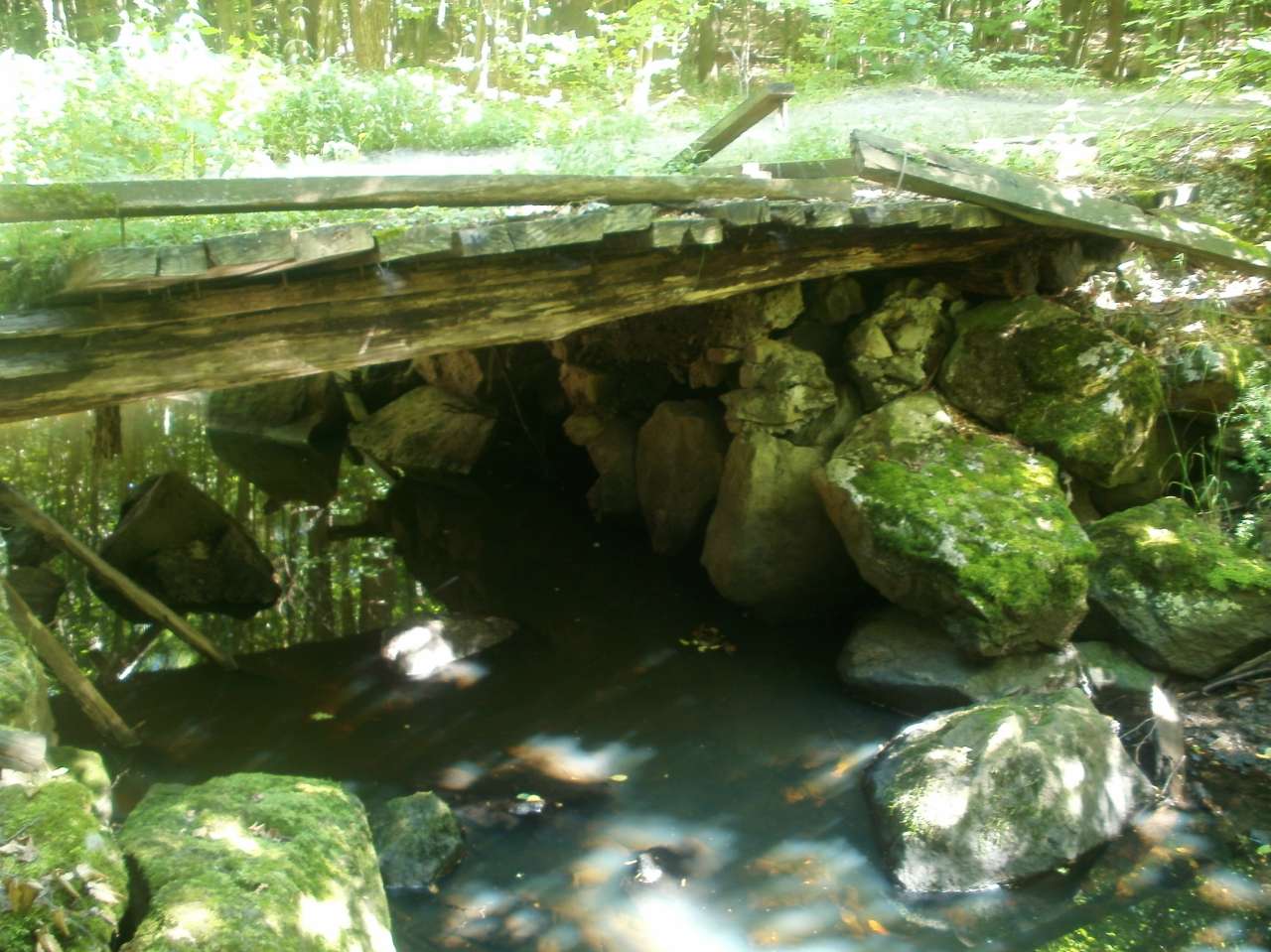 Явне - Javne