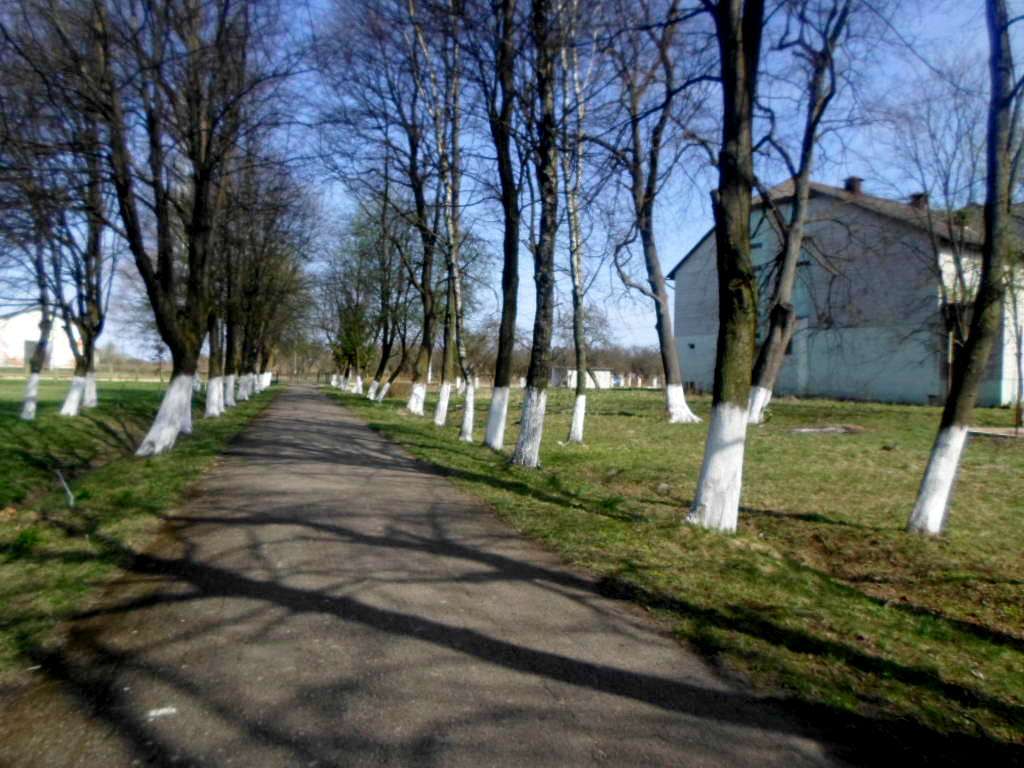 школа - Derzhiv