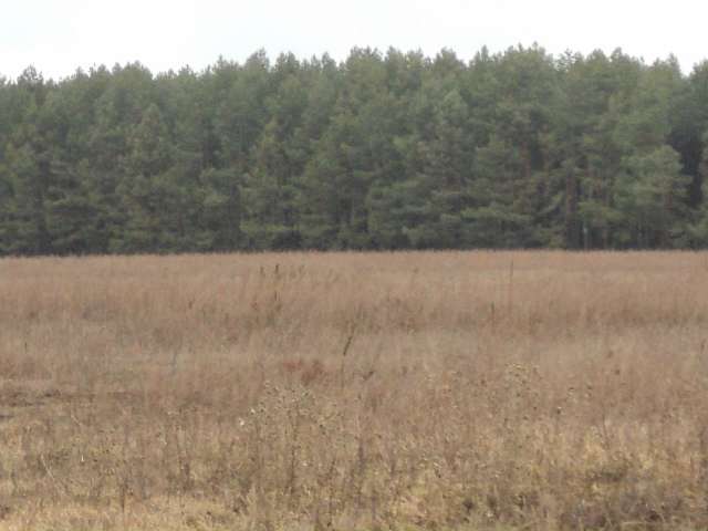 Природа - Тумень