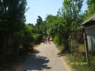 Більшовик з panoramio.com