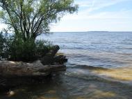 Велика Андрусівка з panoramio.com