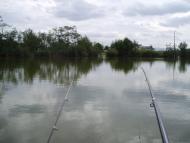 Теребля - Останні фото