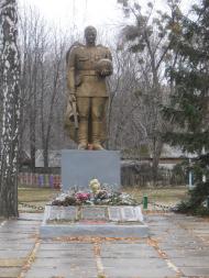 Черемушна з panoramio.com