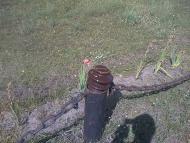 Бубнівська Слобідка з panoramio.com