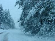 Зелена Гута з panoramio.com