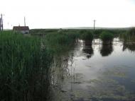 Орлівка з panoramio.com