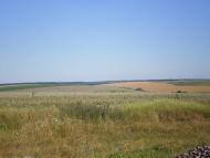 Завадівка - Останні фото