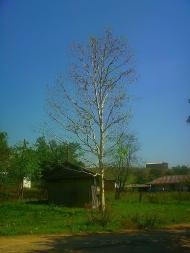 Плотинне з panoramio.com