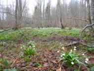 Грабівка з panoramio.com