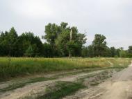 Глоди з panoramio.com