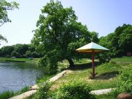 Ровеньки з panoramio.com