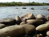 Перегінське з panoramio.com