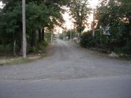 Любашівка - Останні фото