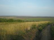 Білоскелювате з panoramio.com