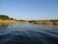 Хворостів з panoramio.com