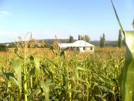 Верхня Слобідка з panoramio.com