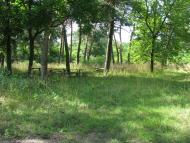 Лютенські Будища з panoramio.com