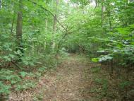 Августівка з panoramio.com