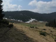 Видричка з panoramio.com