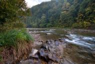 Забрідь з panoramio.com