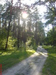 Varvarivka - Latest photos