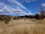 Юрківці з panoramio.com