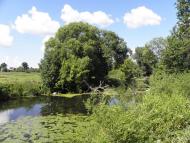 Чуднів з panoramio.com