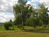 Стольне з panoramio.com