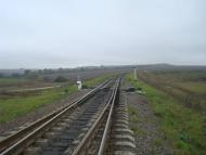 Буйволівці з panoramio.com