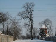 Ріпнів з panoramio.com