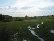 Триліси - Останні фото