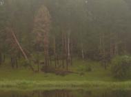 Будівельне - Останні фото